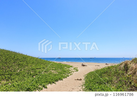 伊良湖岬の恋路ヶ浜 愛知県田原市 伊良湖岬の恋路ヶ浜 愛知県田原市 116961786