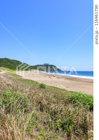 伊良湖岬の恋路ヶ浜　愛知県田原市 116961790