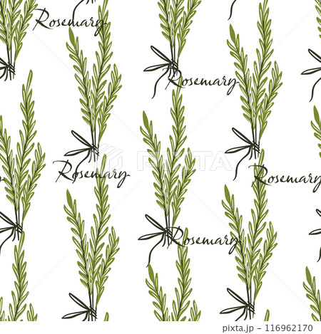 Rosemary Herb Pattern Seamless vector Rosemary Herb Pattern Seamless vector 116962170