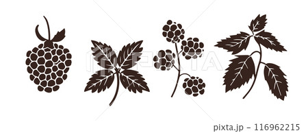 Silhouette Raspberry Leaves Branches vector 116962215