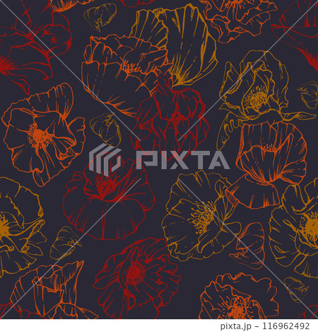 Hand drawn vector graphic botanical illustration flowers leaves. Red poppy papaver, stems buds seedpods. Seamless pattern isolated dark background. Design wedding, paper, remembrance day stationery Hand drawn vector graphic botanical illustration flowers leaves. Red poppy papaver, stems buds seedpods. Seamless pattern isolated dark background. Design wedding, paper, remembrance day stationery 116962492
