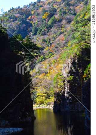 秋 三段峡 黒淵 秋 三段峡 黒淵 116962652