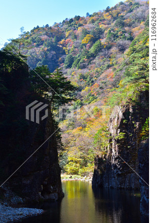 秋 三段峡 黒淵 秋 三段峡 黒淵 116962684