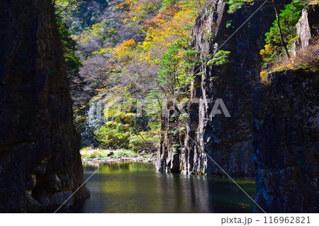 秋 三段峡 黒淵 秋 三段峡 黒淵 116962821