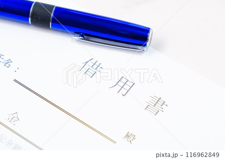 お金を貸し借りする際の取り決めを明文化した借用書 お金を貸し借りする際の取り決めを明文化した借用書 116962849