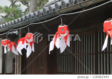 金魚提灯　柳井市の伝統工芸品　観光地の町並み 116962945