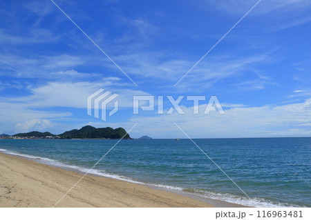 美しい海岸線　瀬戸内海の穏やかな海　瀬戸内の海水浴場 116963481