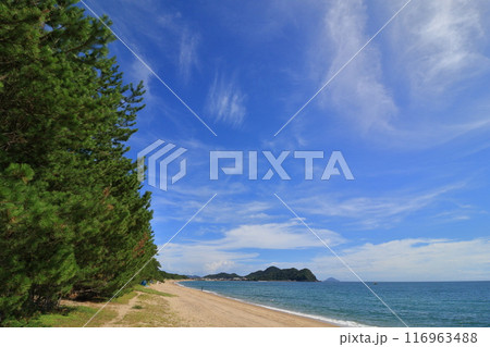 美しい海岸線　瀬戸内海の穏やかな海　瀬戸内の海水浴場 116963488