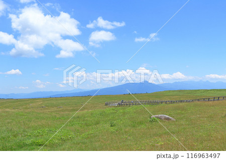 夏の美ヶ原高原 116963497