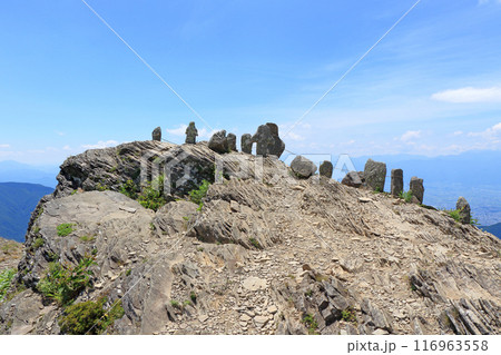 夏の美ヶ原高原　王ヶ鼻の山頂 116963558