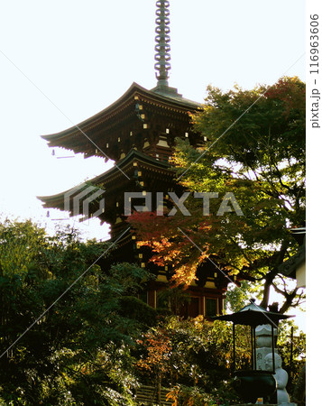 岡寺の三十宝塔【竜蓋寺】奈良県高市郡明日香村 岡寺の三十宝塔【竜蓋寺】奈良県高市郡明日香村 116963606