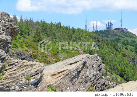 夏の美ヶ原高原 王ヶ鼻からの展望 夏の美ヶ原高原 王ヶ鼻からの展望 116963633