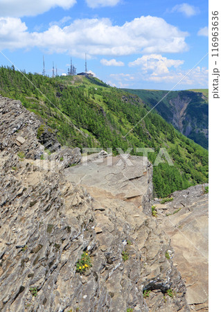 夏の美ヶ原高原　王ヶ鼻からの展望 116963636