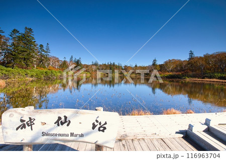 秋の神仙沼 116963704