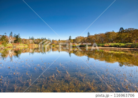 秋の神仙沼 秋の神仙沼 116963706