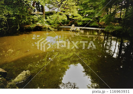 初夏の南昌荘の庭園 116963931