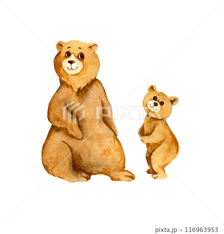 watercolor family of brown bear, sketch of cartoon adult mother bear and standing little bear cub, funny illustration on white background, for children posters 116963953