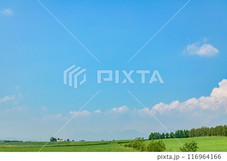 北海道 十勝の広大な農場 116964166