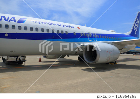 羽田空港の沖留めの機体　ボーイング737-800 116964268