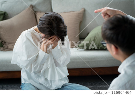 DV　暴力　夫婦 116964464