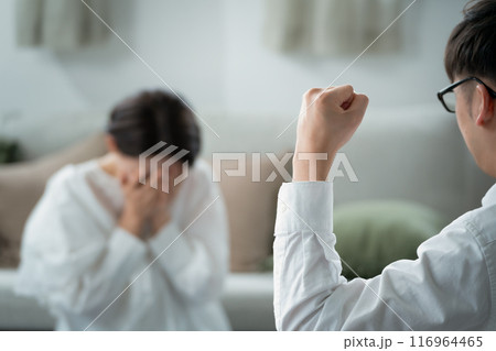 DV 暴力 夫婦 DV 暴力 夫婦 116964465