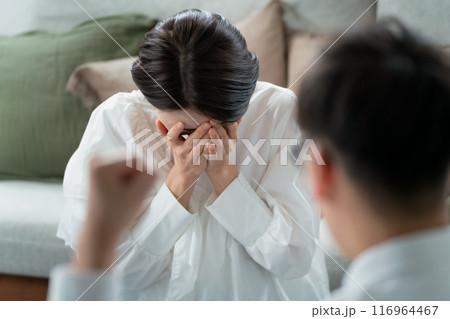 DV　暴力　夫婦 116964467