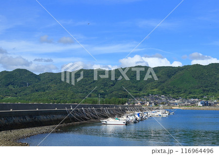 漁港の風景　夏空と漁港 116964496