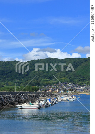 漁港の風景　夏空と漁港 116964497