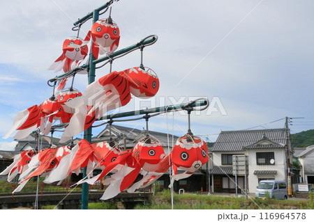 金魚提灯　柳井市の伝統工芸品　柳井市の町並み 116964578