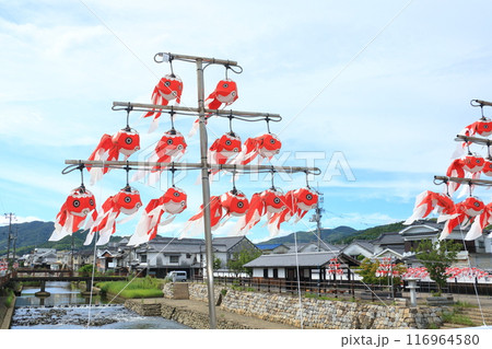 金魚提灯　柳井市の伝統工芸品　柳井市の町並み 116964580