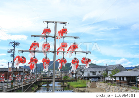 金魚提灯 柳井市の伝統工芸品 柳井市の町並み 金魚提灯 柳井市の伝統工芸品 柳井市の町並み 116964581