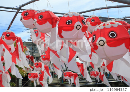 金魚提灯　柳井市の伝統工芸品　柳井市の町並み 116964587