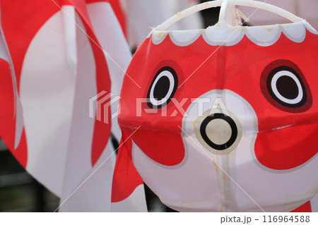 金魚提灯　柳井市の伝統工芸品　柳井市の町並み 116964588