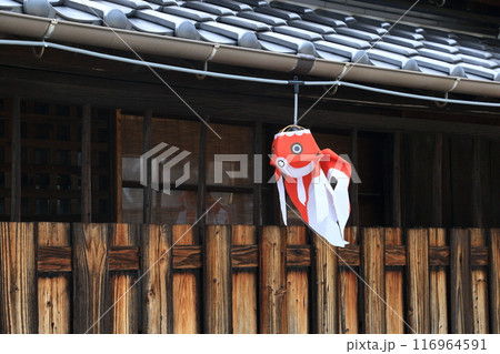 金魚提灯　柳井市の伝統工芸品　柳井市の町並み 116964591