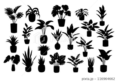 Home plant silhouettes, beautiful plants in ceramic pots, house plants, house decor with plants 116964662