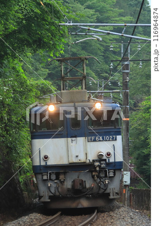 新緑が美しい初夏の中央西線を力強く走るEF64形牽引の貨物列車(81レ)_2024/7/6撮影 新緑が美しい初夏の中央西線を力強く走るEF64形牽引の貨物列車(81レ)_2024/7/6撮影 116964874