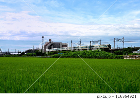 青空が広がる田園地帯を走る東武特急リバティーりょうもう（埼玉県久喜市） 116964921