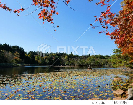 野呂山の氷池 (広島県呉市) 野呂山の氷池 (広島県呉市) 116964963