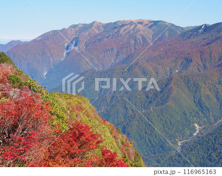 谷川連峰・大源太山から望む秋の巻機山 116965163