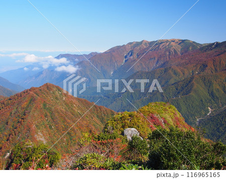 谷川連峰・大源太山から望む秋の巻機山 谷川連峰・大源太山から望む秋の巻機山 116965165