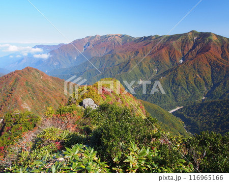 谷川連峰・大源太山から望む秋の巻機山 116965166