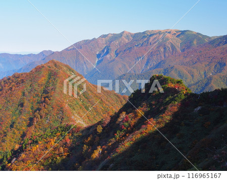 谷川連峰・大源太山から望む秋の巻機山 116965167