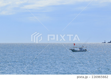 海水浴場の監視船　海の風景 116965662