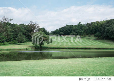 グリーンのあるゴルフ場のグリーン 116966096