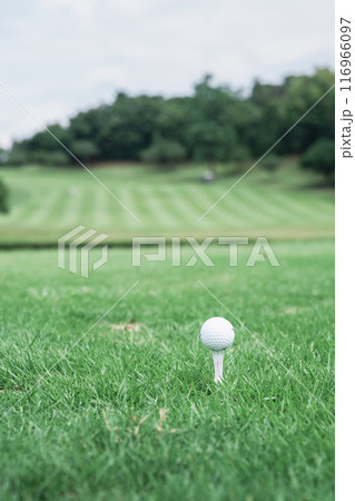 ティーアップされたボール 116966097