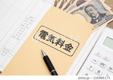 電気料金　（家計、家計簿） 116966175