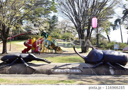伊勢崎市　華蔵寺公園の遊具広場と満開桜 116966285
