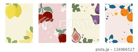 Set of vertical fruit flyers for summer design 116966527