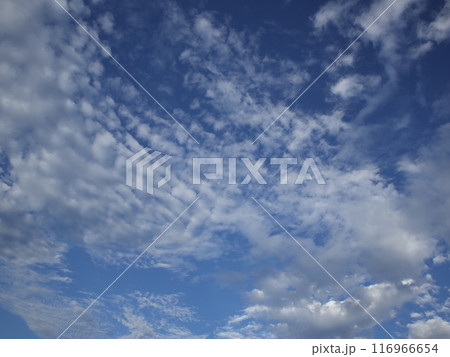 青空に浮かぶ雲 青空に浮かぶ雲 116966654