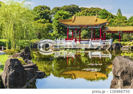 日本の中国庭園「瀋秀園」の風景【神奈川県・川崎市】 116966750